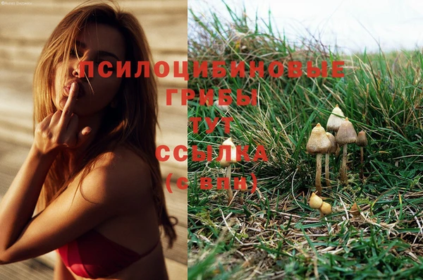 мескалин Аркадак