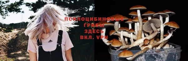 мескалин Аркадак