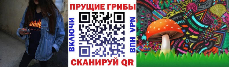 Псилоцибиновые грибы GOLDEN TEACHER  Россошь 