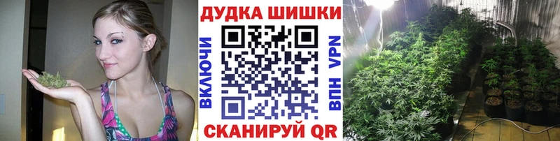 Бошки Шишки планчик  купить закладку  Россошь 